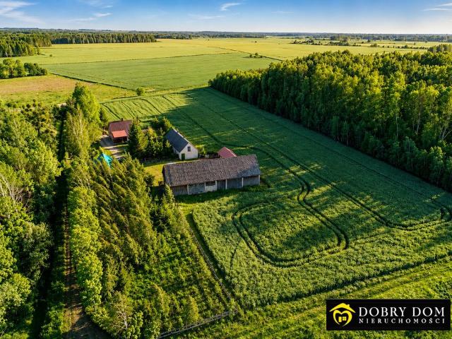 Urokliwe siedlisko 100 m² z dużą działką i lasem