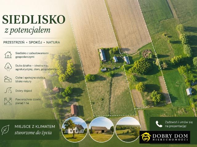 Polecam urokliwe siedlisko 2,6 ha z domem i zabudowaniami