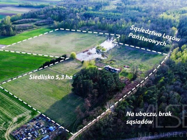 Urokliwe siedlisko 5,3 ha z własnym stawem i lasem