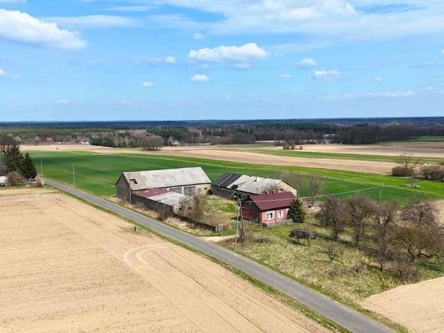 Urokliwe siedlisko 80 m2 z budynkami gospod. na 1 ha