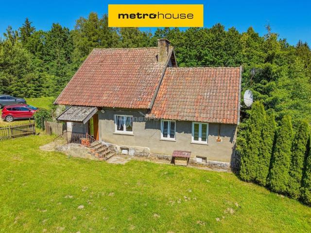 Urokliwe siedlisko na Mazurach z 4 budynkami i 2350 m² działki