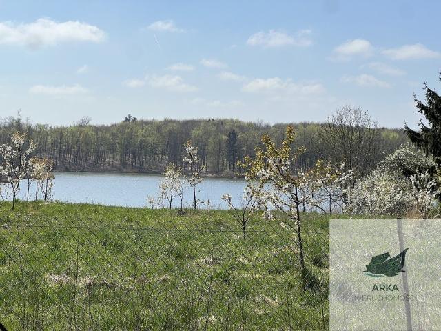 Urokliwe siedlisko nad jeziorem z własną linią brzegową