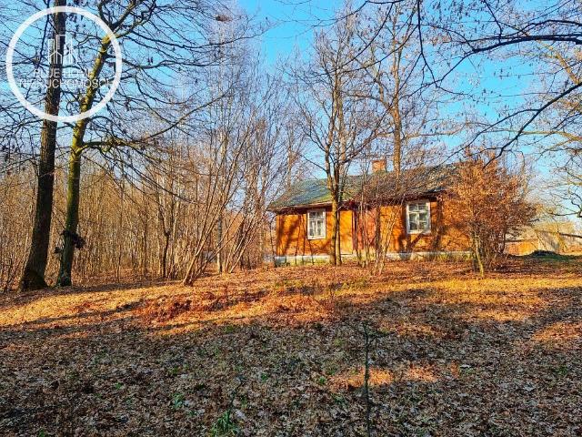 Urokliwe siedlisko z drewnianym domem 80 m2, las, działka 3201 m2
