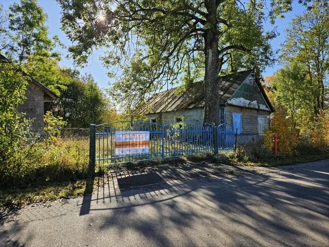 Urokliwe siedlisko z potencjałem na 7400 m² w Nowym Dworze