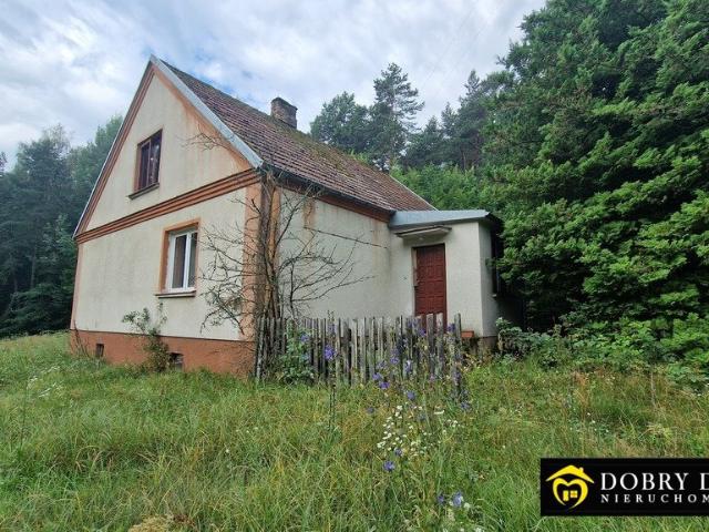 Urokliwy dom 120 m² w Krynicach, las, panorama polecam!