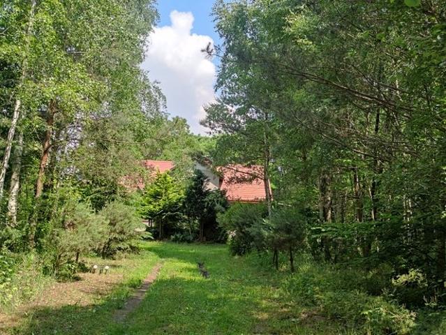 Urokliwy dom 120 m² z ogrodem i stodołą w Ciućkowie