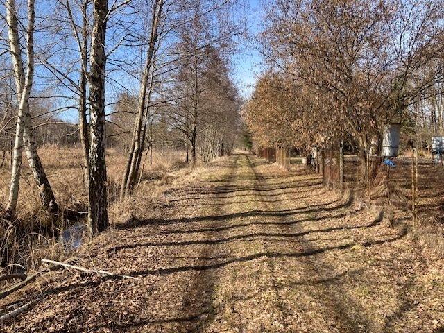 Do sprzedania urokliwy dom 88 m² na dużej działce z stawem
