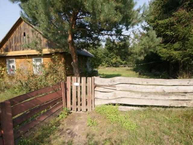 Urokliwy dom drewniany 70 m2 z dużą działką w Gołębiu