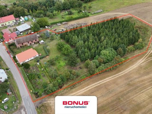 Urokliwy dom z dużą działką i lasem w Słodkowie