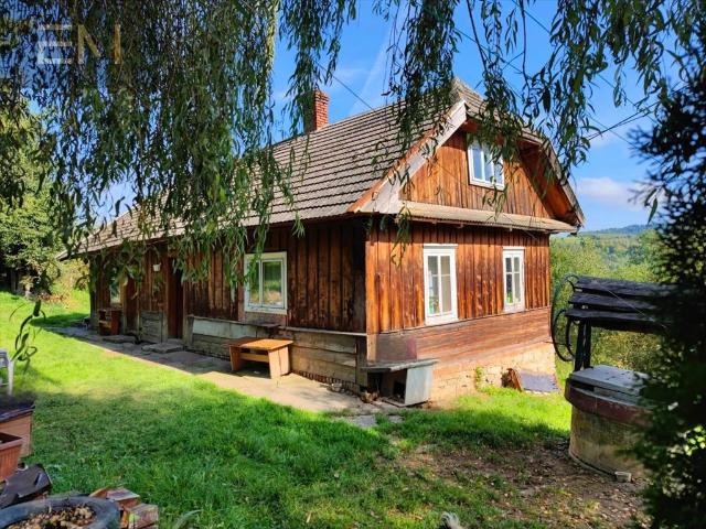 Urokliwy drewniany dom 90 m2 z widokiem na lasy