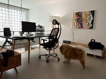 Urban Oasis by Cologne Cathedral, light filled 105sqm Maisonette with lift access