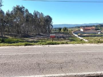 Urbano em Canas de Santa Maria