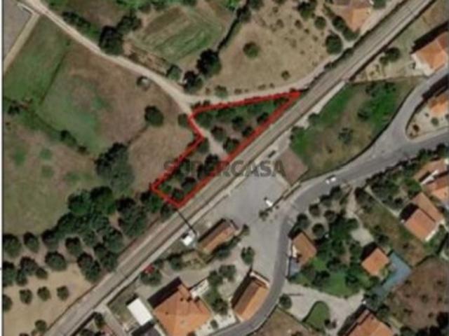 Urbano em Alcaria