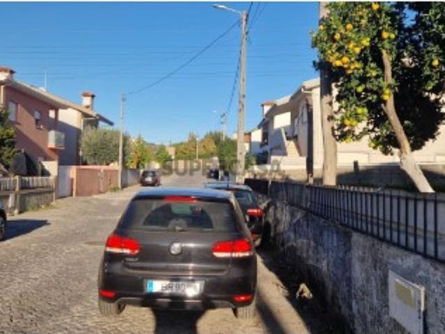 Urbano em Aves