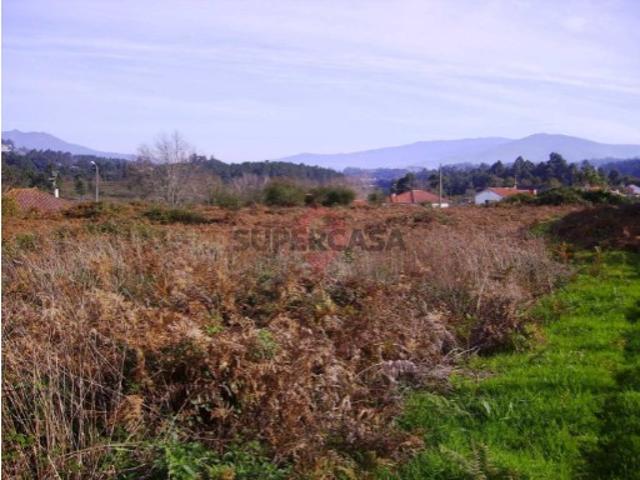 Urbano em Bela
