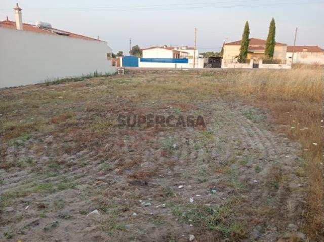 Urbano em Benfica do Ribatejo