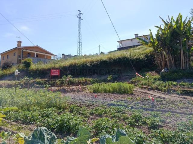 Urbano em Delães