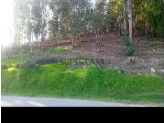 Urbano em Fornelos e Queijada