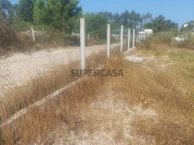 Urbano em Fernão Ferro