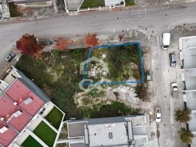 Urbano em Santa Cruz/Trindade e Sanjurge