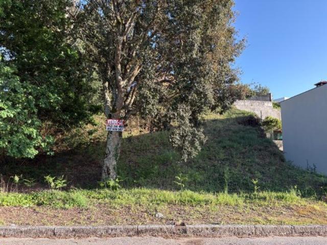 Urbano em Pedroso