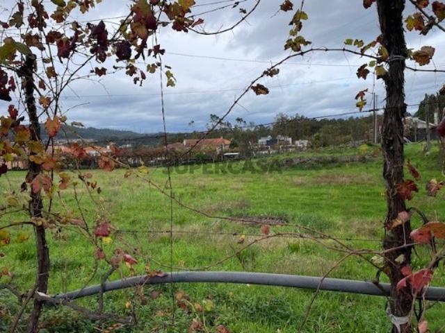 Urbano em Pedralva