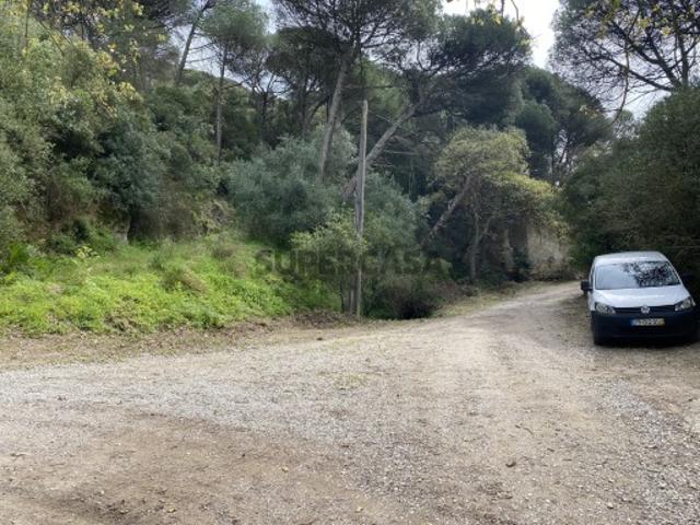 Urbano em Quinta do Anjo
