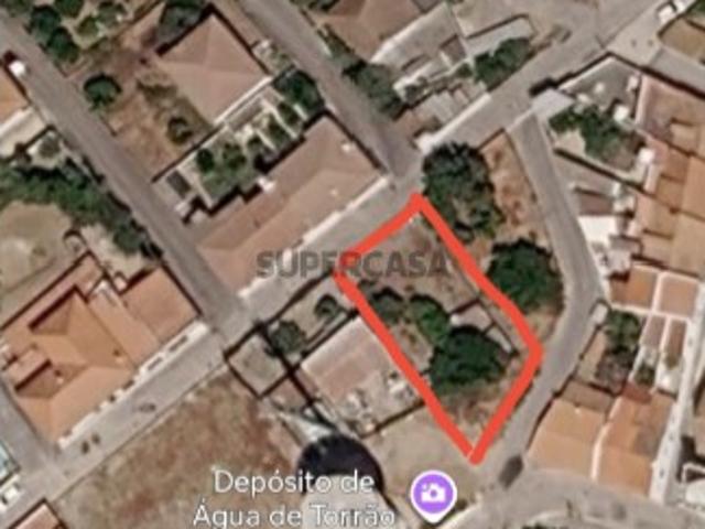 Urbano em Torrão
