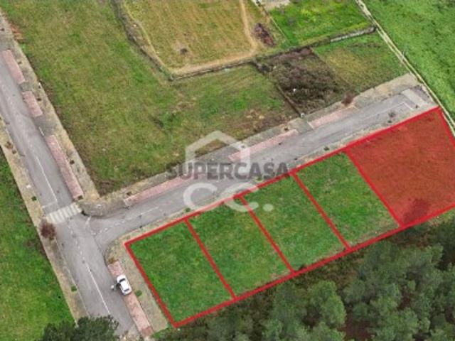 Urbano em Vale de Anta