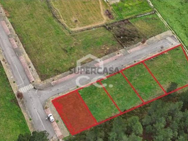 Urbano em Vale de Anta