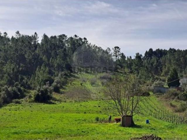 Terreno em Trouxemil e Torre de Vilela