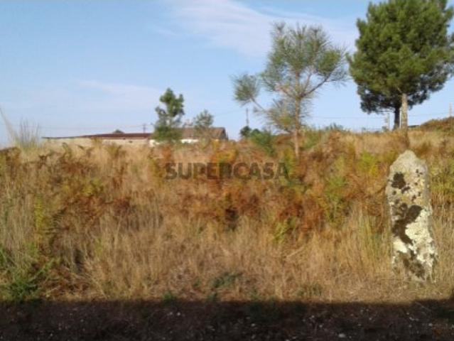 Urbanizável em Travassós