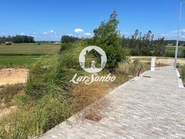 Terreno em Azurara