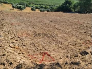 Terreno em Baleizão