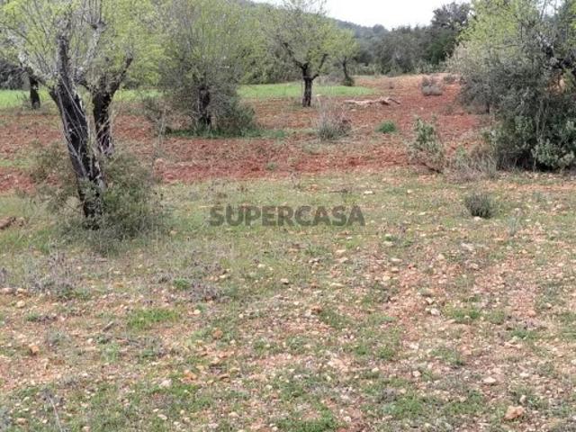 Terreno em Boliqueime