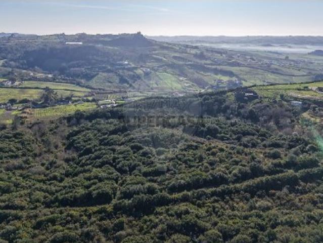 Terreno em Carnota