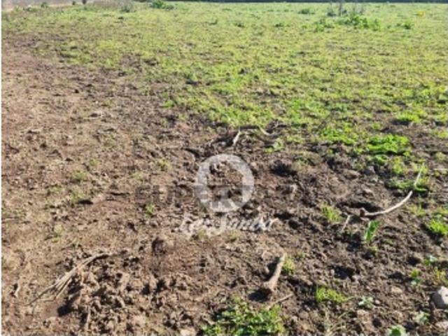 Terreno em Vila Seca