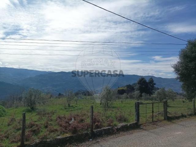 Terreno em Loivos da Ribeira e Tresouras
