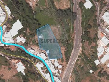 Terreno em Lousa