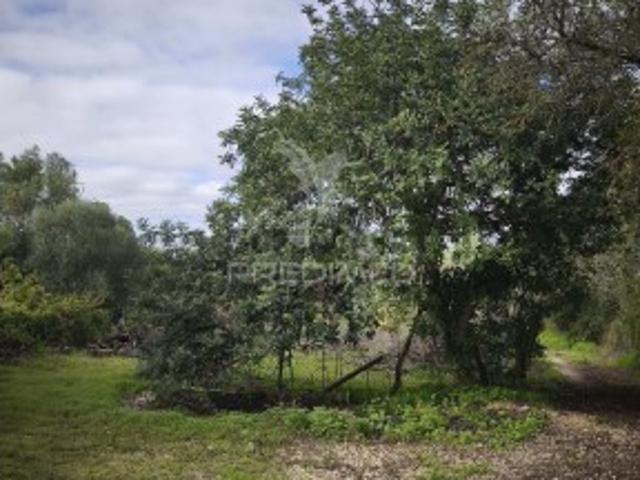 Terreno em Paderne