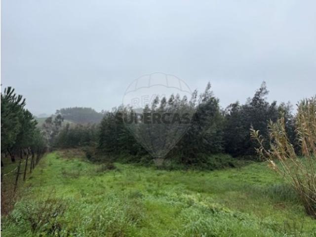 Terreno em Vilar