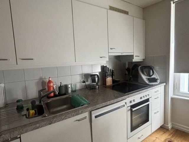 Urbanisierte Wohnung im Herzen von Basel