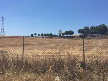 Glorieta de los Repobladores, Aldehuela de Los Guzmanes, Salamanca, Castilla y León, Castilla y León