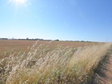 Urbis te ofrece un terreno en venta en Castellanos de Villiquera, Salamanca
