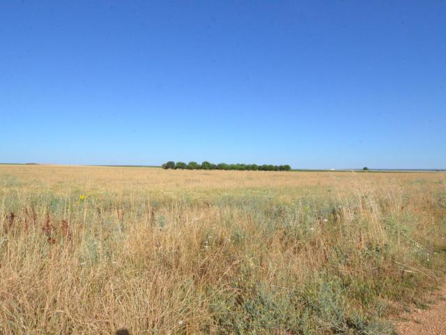 Urbis te ofrece un terreno en venta en Castellanos de Villiquera, Salamanca