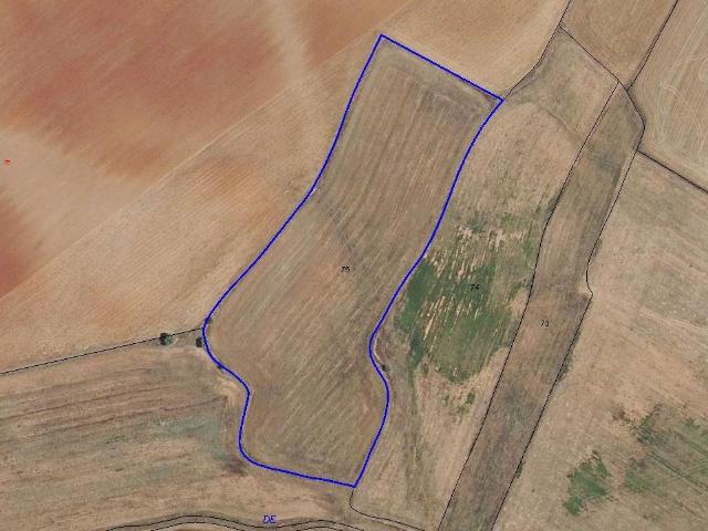 Urbis te ofrece una parcela en venta en Aldeatejada, Salamanca