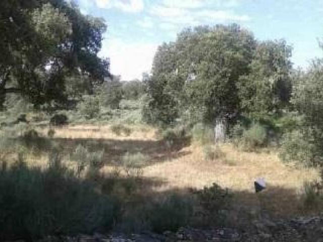 Urbis te ofrece una parcela rústica en venta en Castillejo de Dos Casas, Aldea del Obispo,Salamanca
