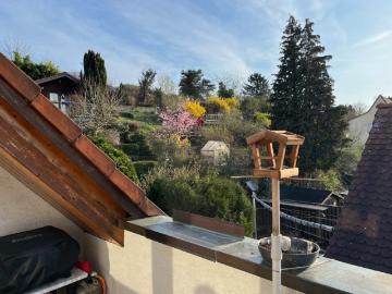 Wohnung in Bad Vilbel, 63 m² HWH Immobilien