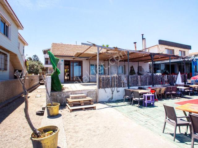 Urla Zeytinalanı Deniz Kıyısı Yazlık