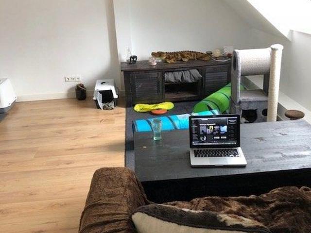 UW PERFECTE HUURWONING IN TILBURG